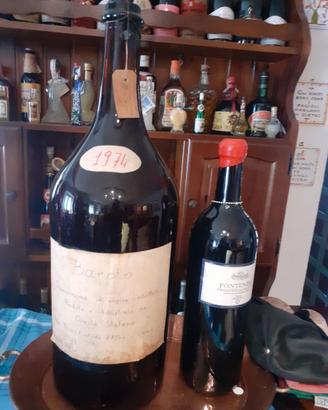 Vino Barolo
