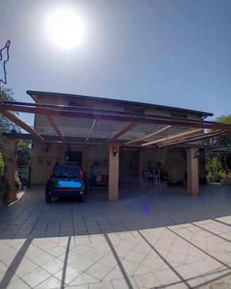 Terreno con vigneto pregiato e casa su due livelli