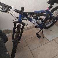 bicicletta spinney