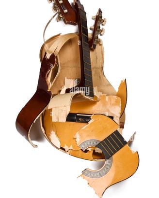 chitarre elettriche ,acustiche ,classiche o bassi