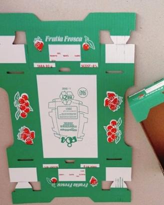 100 cartoni x frutta e verdura 
