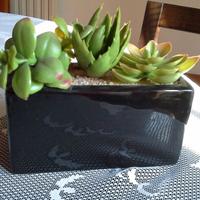 Vasetto in porcellana nera con piantine finte