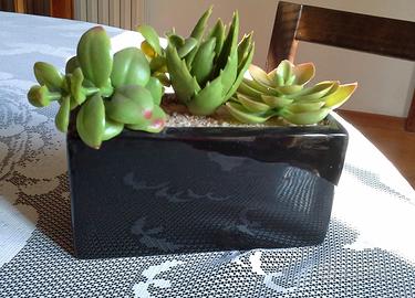 Vasetto in porcellana nera con piantine finte