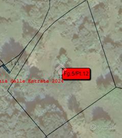 TER. AGRICOLO A VALGIOIE