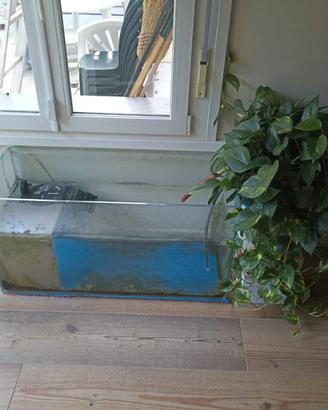 Acquario 200 L per pesci-tartarughe d'acqua