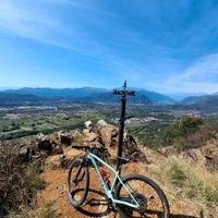 orbea Alma 