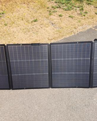 Pannello solare EcoFlow 220 W