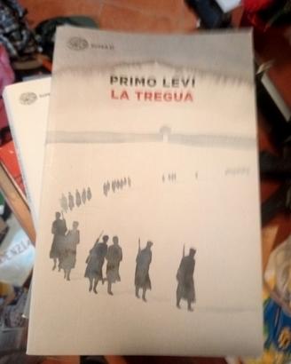 libri