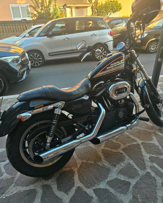 harley davidson 883r  