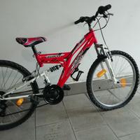 Bicicletta MTB