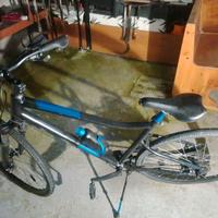 Bici mtb