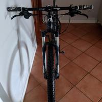 MTB 29