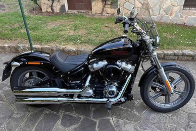 Harley-D.  Softail STD 2023
