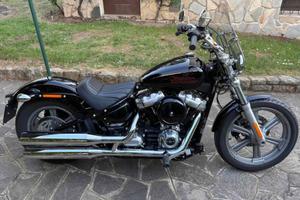 Harley-D.  Softail STD 2023