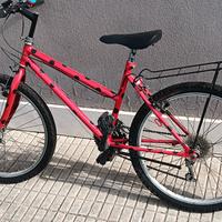 Biciclette, una 16 e una 24.