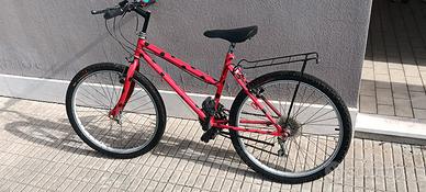 Biciclette, una 16 e una 24.