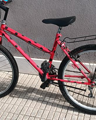 Biciclette, una 16 e una 24.