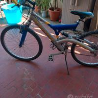 bicicletta 