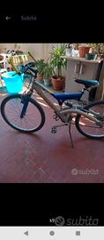 bicicletta 