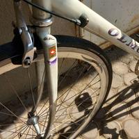 Bicicletta olmo uomo.