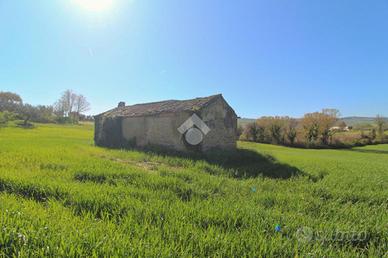 TER. AGRICOLO A MOSCIANO SANT'ANGELO