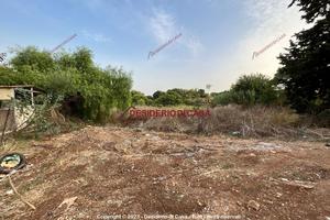 Terreno, Partanna, Palermo.