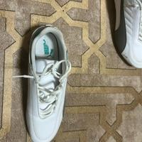 puma Mercedes 