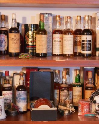 collezione vintage whisky