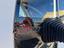 Immagine 8
