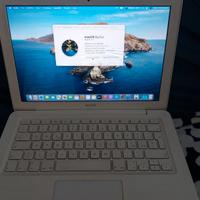 Mac Book (13-inch, Mid 2010)