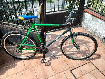 bicicletta 