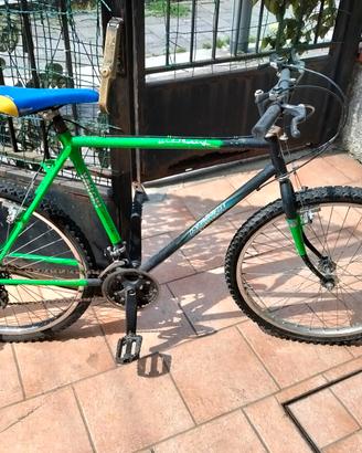bicicletta 