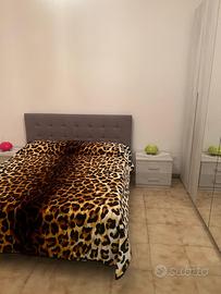 Trilocale completamente Ristrutturato