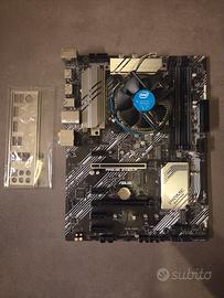 Bundle Asus Prime Z490-P + Intel Celeron G5905