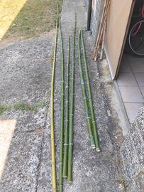 canne bambù 