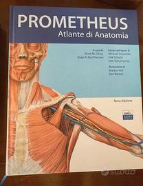 Prometheus Atlante di Anatomia