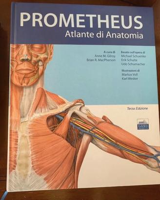 Prometheus Atlante di Anatomia