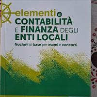 Elementi di contabilità e finanza negli enti local