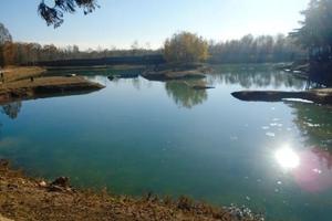 Laghetto Bosco terra Bologna e provincia