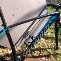 Telaio L Mtb 29 Carbonio Specialized Stumpjumper