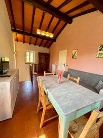 Casa vacanza campagna lucchese