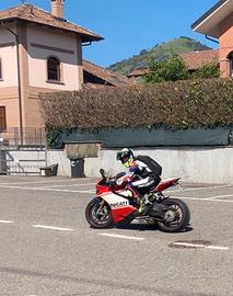 Carene Panigale 1199
