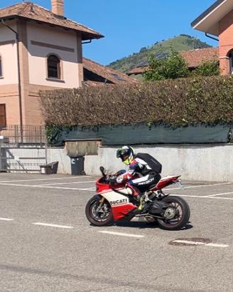Carene Panigale 1199