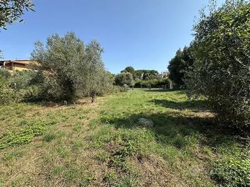 Terreno Residenziale Canale Monterano [TE60VRG]