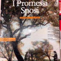 Libro promessi sposi