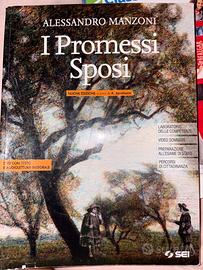 Libro promessi sposi