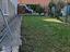 Immagine 14