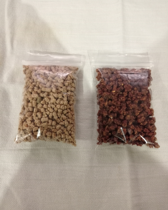 Pellet per caridine e lumache acquario tropicale