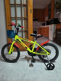bicicletta 