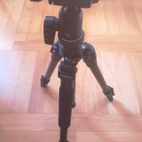 Cavalletto estensibile marca Benro completo di cus